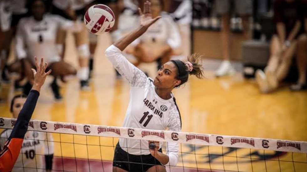 Il Motor Learning e la scuola americana di pallavolo