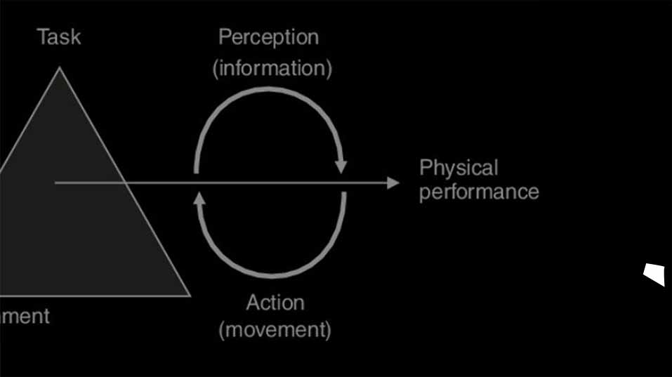 Approccio Ecologico (Lezione 4a). L’accoppiamento di percezione e azione